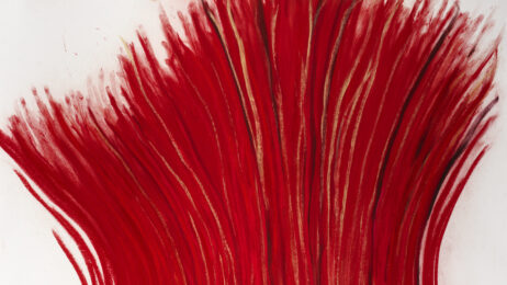 Teresa Gonçalves Lobo