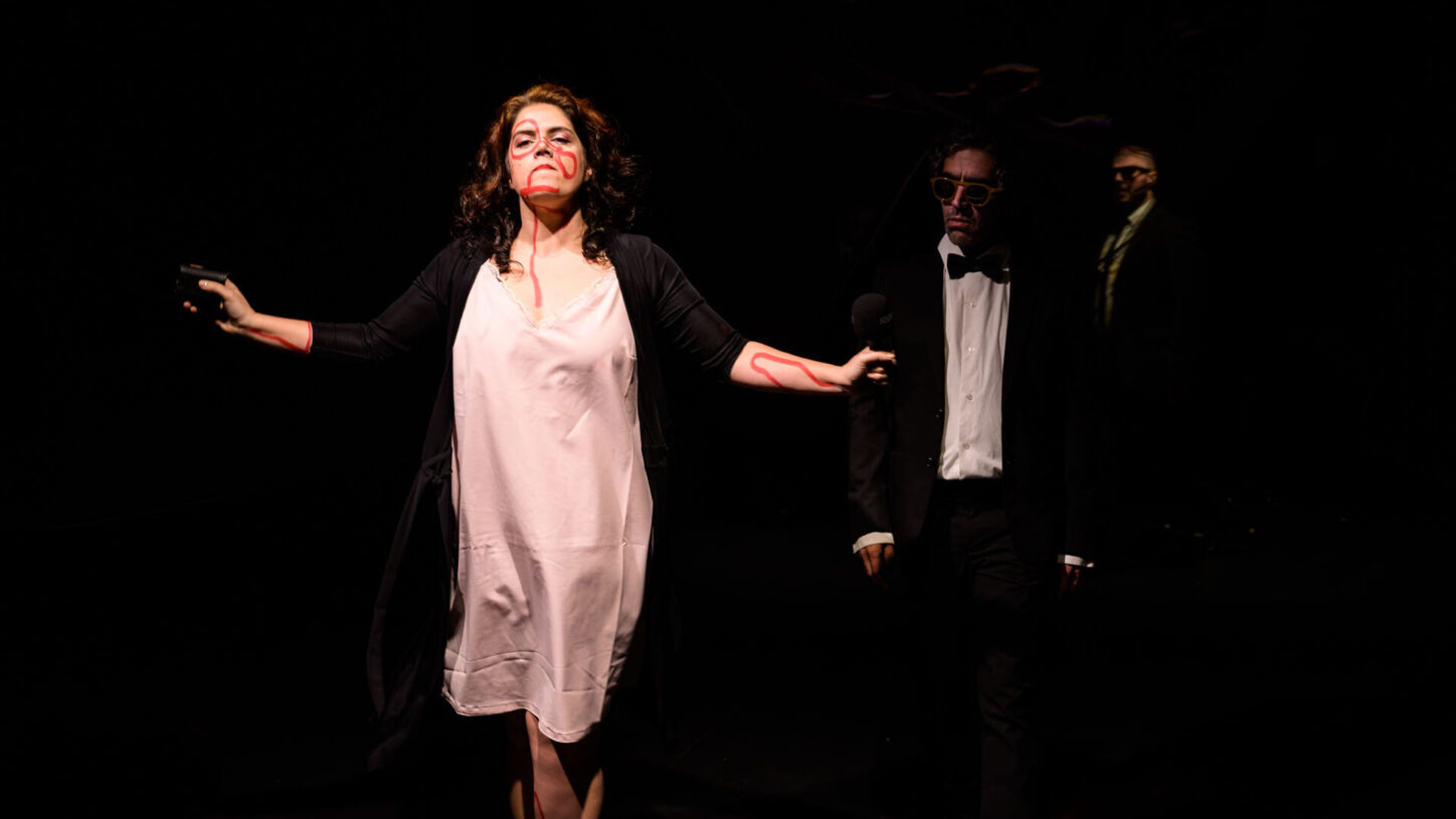 Ai, tu é que és o meu rapaz (Sessões para Escolas)