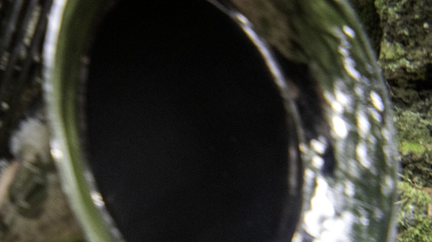 Luís Senra: Pharoson