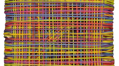 As Plantas do Meu Jardim