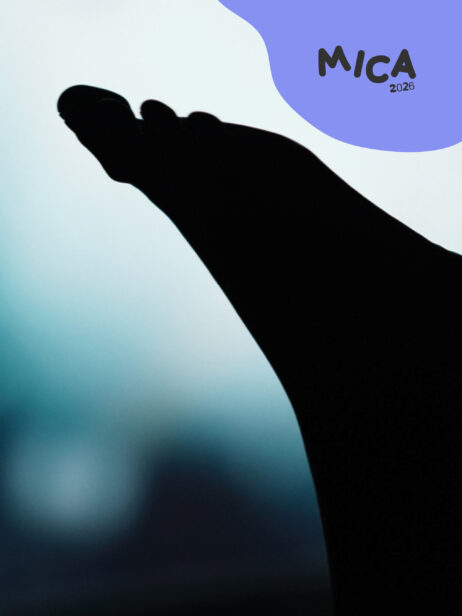 O dia em que decidi encenar o Principezinho (Público Escolar)