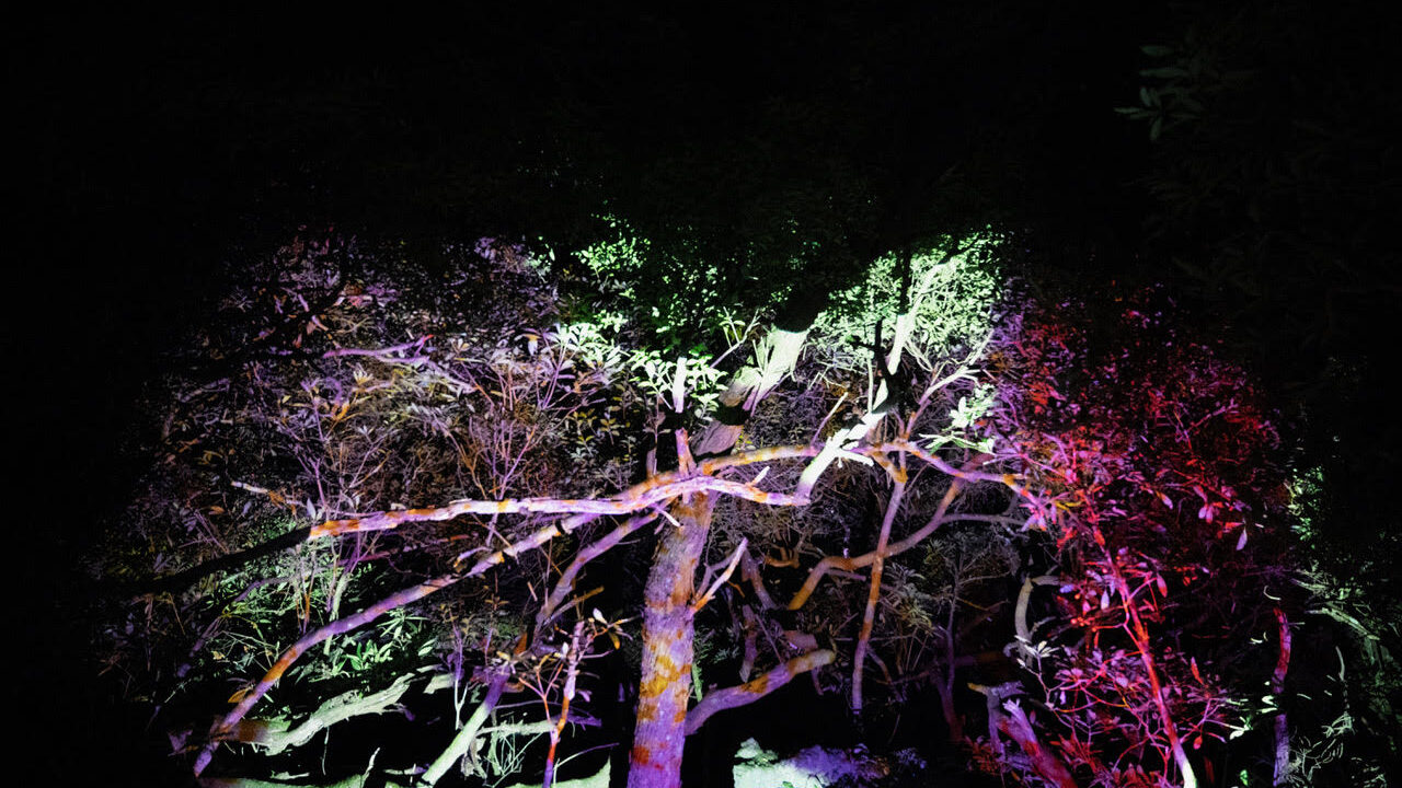 As Memórias de Laura Silva de Pedro PMDS