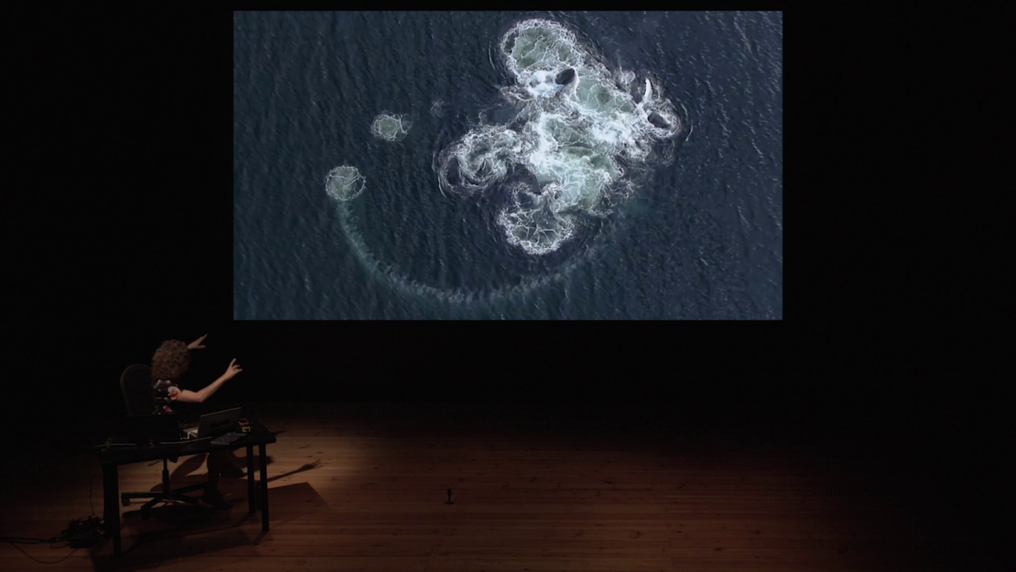 All you need is Plankton